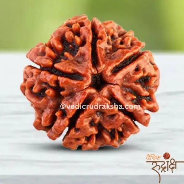 145.webp Har Ghar Mein Rudraksha – Claim Your Free 5 Mukhi Rudraksha OFER TILL SWANA month 2025 - Image 5
