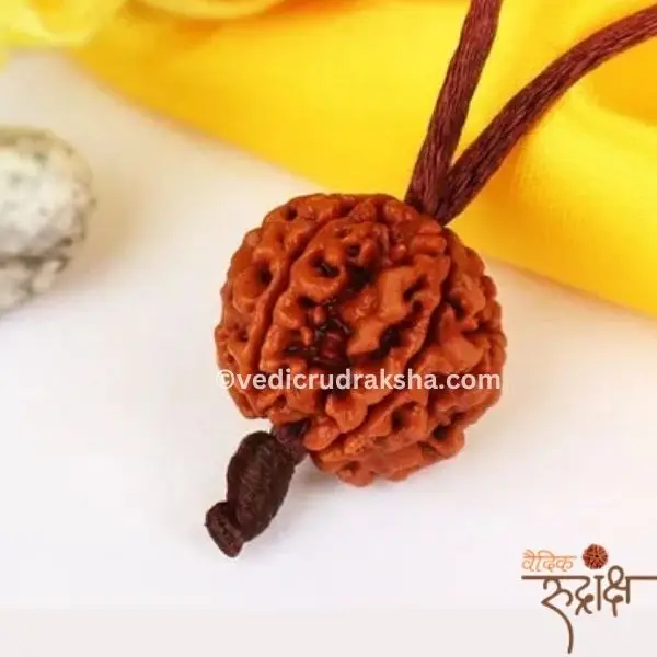 148.webp Har Ghar Mein Rudraksha – Claim Your Free 5 Mukhi Rudraksha OFER TILL SWANA month 2025