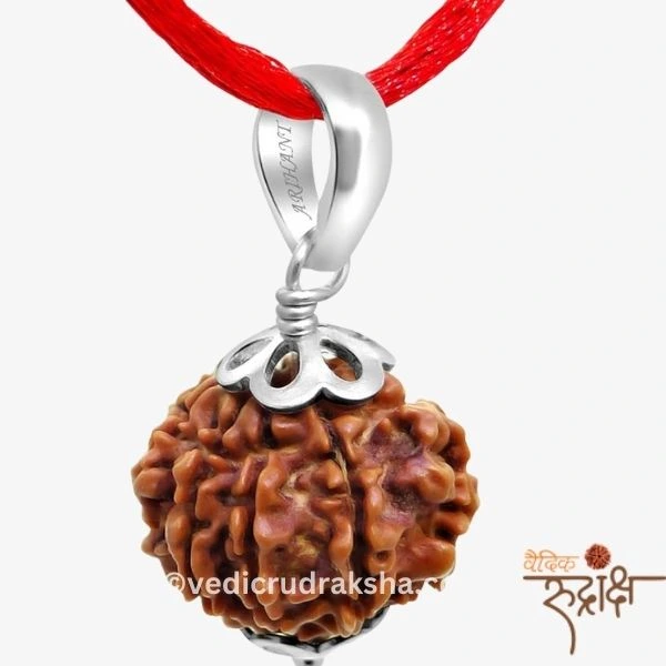 172.webp Premium 7 Mukhi Nepali Rudraksha Bead – Certified & Energized | For Financial Growth - Image 4
