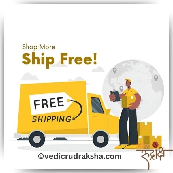 179.webp 11 Mukhi Rudraksha with Lab Certification | Original Eleven Faced Bead - Image 5