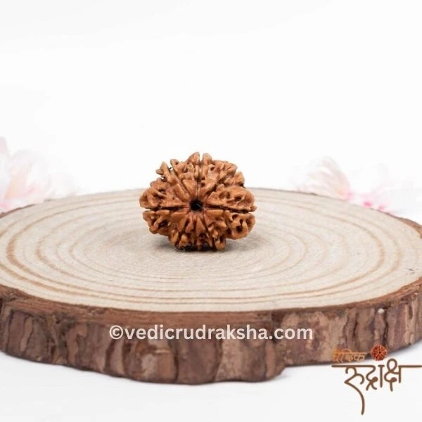200.webp Original 8 Mukhi Nepali Rudraksha – Lab Certified & Energized | Authentic Bead of Goddess Durga for Power & Protection (Copy) - Image 4