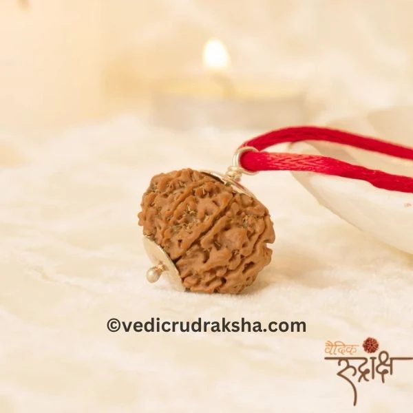 201.webp Original 8 Mukhi Nepali Rudraksha – Lab Certified & Energized | Authentic Bead of Goddess Durga for Power & Protection (Copy) - Image 5