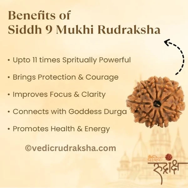 204.webp Original 9 Mukhi Nepali Rudraksha – Lab Certified & Energized | Authentic Bead of Goddess Durga for Power & Protection - Image 4