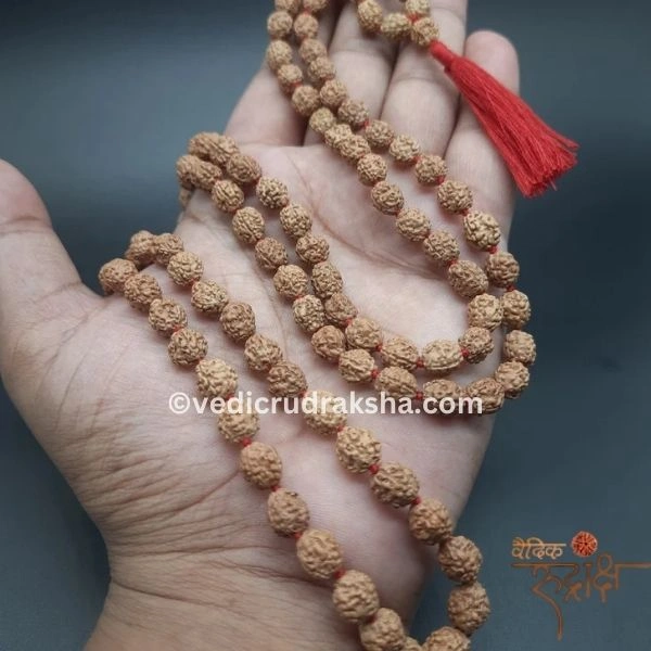 221.webp 4 Mukhi Japa Rudraksha Mala – 108+1 Beads | Lab Certified Original Rudraksha for Knowledge & Wisdom