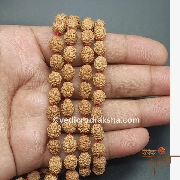 222.webp 4 Mukhi Japa Rudraksha Mala – 108+1 Beads | Lab Certified Original Rudraksha for Knowledge & Wisdom - Image 3