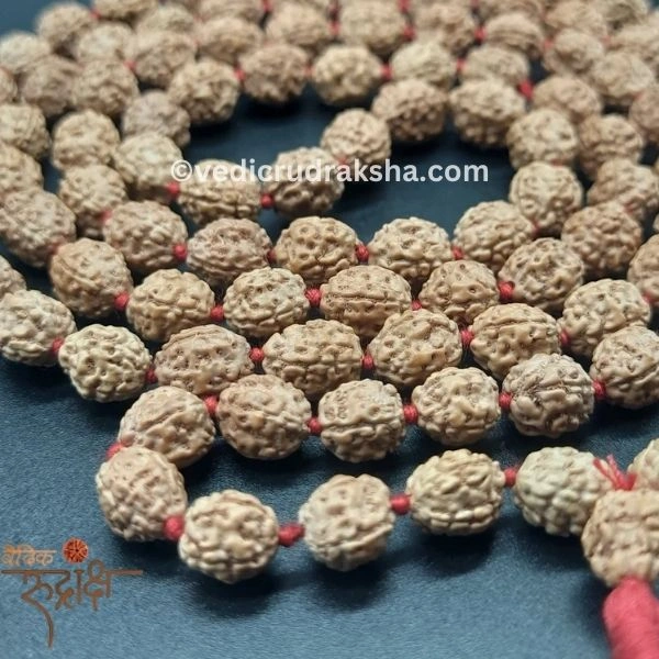 223.webp 4 Mukhi Japa Rudraksha Mala – 108+1 Beads | Lab Certified Original Rudraksha for Knowledge & Wisdom - Image 4