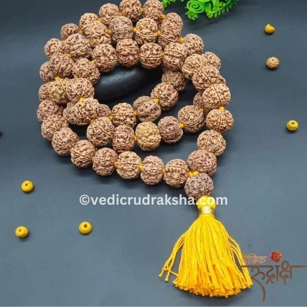 232.webp Premium 7 Mukhi Japa Mala – Nepal Origin Rudraksha (20–22mm) | Certified & Energized for Spiritual Power with 108+1 Beads - Image 3