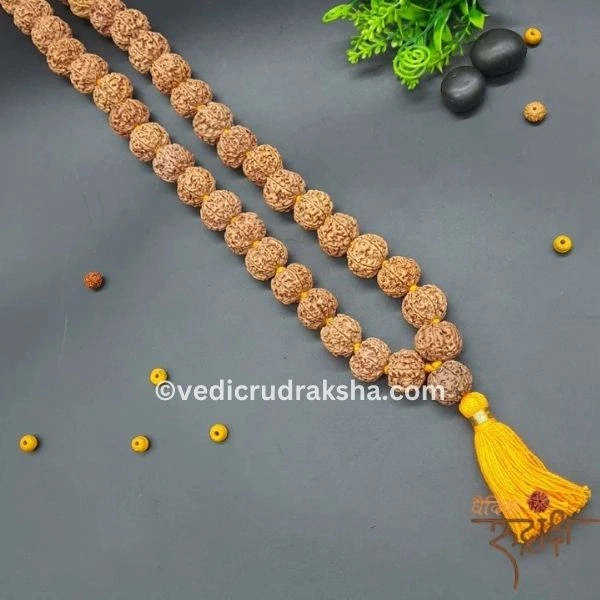 233-1.webp 7 Mukhi Japa Rudraksha Mala 8 -10mm with Lab Certificate – Original & Energized - Image 2