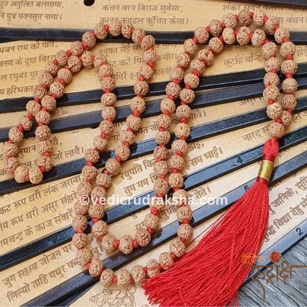 234.webp Natural 6 Mukhi Rudraksha Mala with Lab Certificate – Original & Certified Spiritual Beads - Image 4