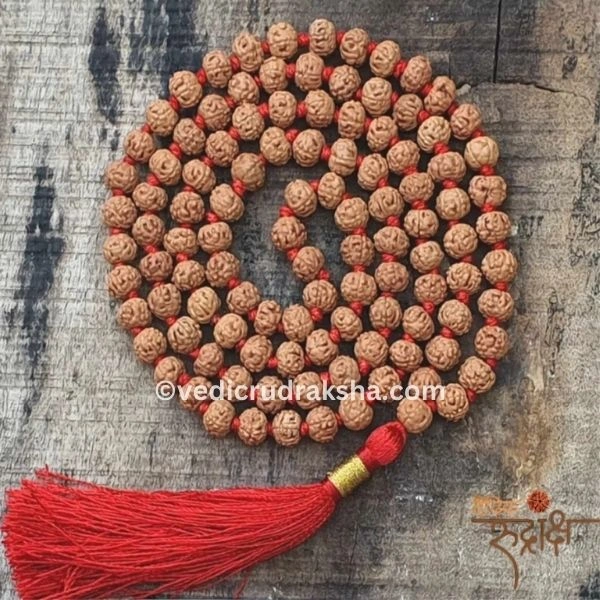 235.webp Natural 6 Mukhi Rudraksha Mala with Lab Certificate – Original & Certified Spiritual Beads