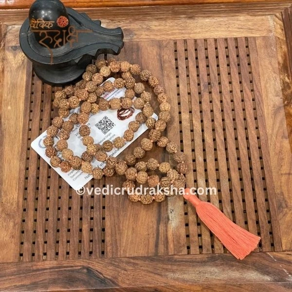 238.webp 8 Mukhi Japa Rudraksha Mala 108+1 with Lab Certificate – Divine & Energized
