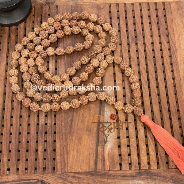 239.webp 8 Mukhi Japa Rudraksha Mala 108+1 with Lab Certificate – Divine & Energized - Image 3