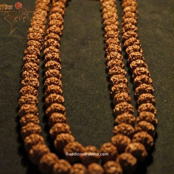 277.webp Premium 7 Mukhi Japa Mala – Nepal Origin Rudraksha (20–22mm) | Certified & Energized for Spiritual Power with 108+1 Beads