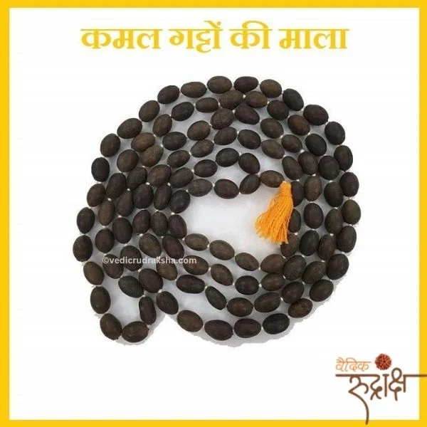 3.webp Certified Original 108 Lotus Seeds Kamal Gatta Mala | For Japa, Maa Lakshmi Pooja & Wearing - Image 3