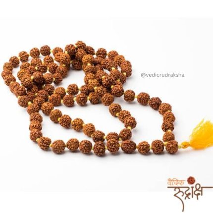 Original Rudraksh Mala 8MM – 108 Beads for Men & Women | Neck & Hand Collection | Lab Certified