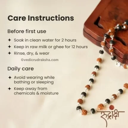 Karungali Rudraksha Mala