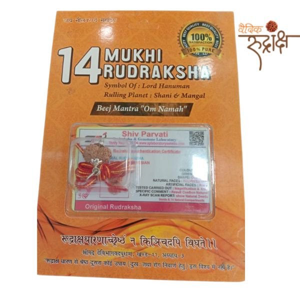 VR-Products.jpg 14 Mukhi Original Rudraksha (Indonesia)