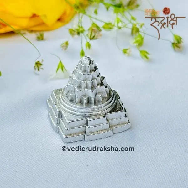 zr5a8vjwpqivkivwchou.webp Pure Parad Meru Shri Yantra (65–75 gm) – Energized Mercury Shree Yantra for Success, Prosperity & Harmony - Image 4